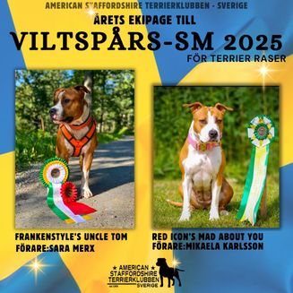 Årets ekipage till Viltspårs-SM klara!